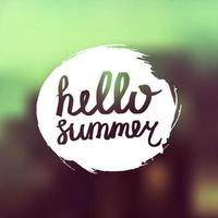 Hello Summer Lettering vector