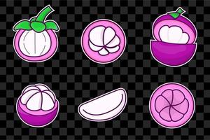 Set of mangosteen isolated vector illustration. purple mangosteen