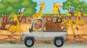 Escena de safari con muchas jirafas y niños en coche turístico. vector