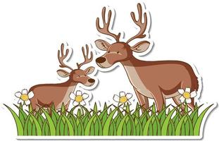 Two deers standing in grass field sticker vector