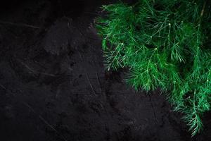 Fresh dill on black background. Top view, low key, copy space photo