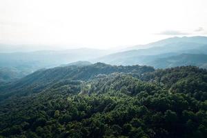 Mountains and summer green forests photo