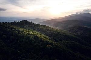 Mountains and summer green forests photo