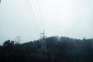 trees and mountains on rainy day photo