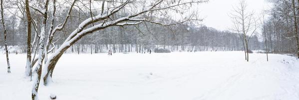 Panorama del paisaje forestal de invierno en diciembre en vísperas de Navidad foto
