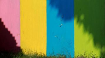 Colorful walls, with tree shadows forming a unique ornament photo