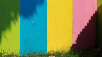 Colorful walls, with tree shadows forming a unique ornament photo