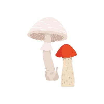 Autumn background with mushrooms