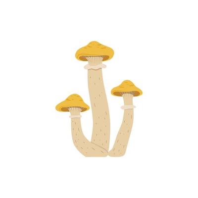 Autumn background with mushrooms