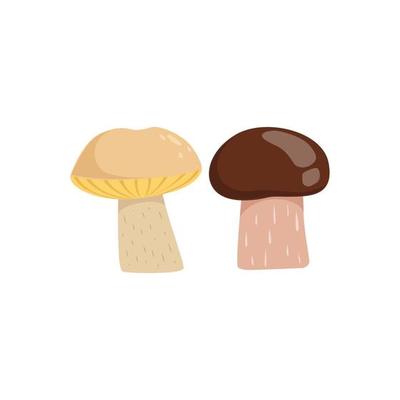 Autumn background with mushrooms