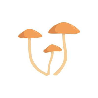 Autumn background with mushrooms