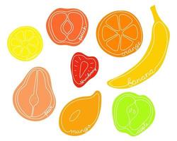 Fruit halves on white background with names. Set of cutaway fruits vector