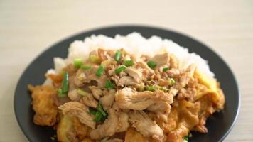 Stir-fried pork with garlic and egg on rice video