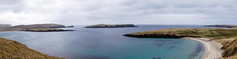 Focas en la playa en las islas Shetland foto