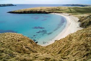 Focas en la playa en las islas Shetland foto