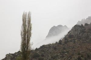 paisaje neblinoso en los cárpatos rumanos foto