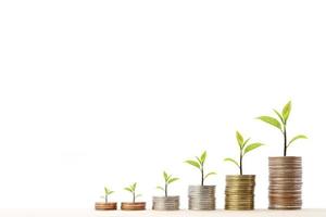 Stack of coins with a small tree at the top arranged in a graph photo