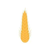 Isolated wheat ear vector design
