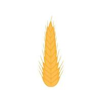 Isolated wheat ear vector design