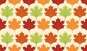 seamless pattern of maple leaves vector