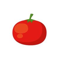 tomate vegetal fresco icono aislado vector