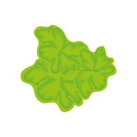lettuce leaves fresh vegetable isolated icon