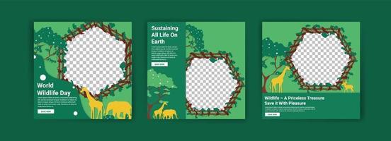 Social media templates for World Wildlife Day. vector