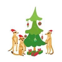 A happy family of meerkats wearing santa hats near Christmas tree. vector