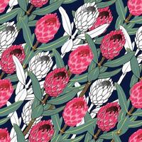 Seamless pattern Protea vintage flowers abstract background. vector