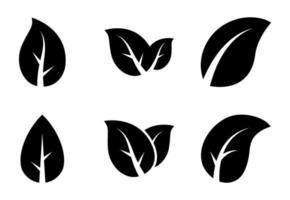 leaf icon set - vector illustration .