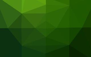 Light Green vector polygon abstract layout.