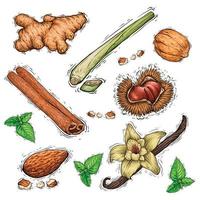 Set of nuts and spices collection watercolor illustration vector
