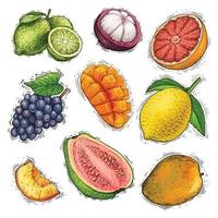 Set of fruits collection watercolor illustration vector
