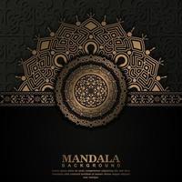 Luxury ornamental mandala background vector