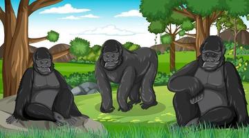 Gorilla group in forest or rainforest scene with many trees vector