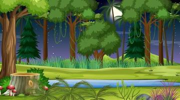 Forest landscape scene at night with many different trees vector