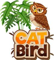 Owl cartoon character with Cat Bird font banner isolated vector