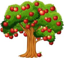 Apple tree isolated on white background vector