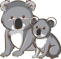 Mother and baby koala bear cartoon on white background vector