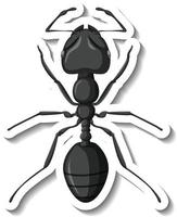 A sticker template with close up of red ant isolated vector