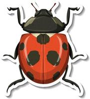 A sticker template with a ladybug isolated vector