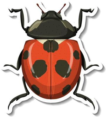 A sticker template with a ladybug isolated