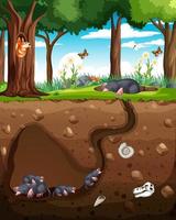 Underground animal burrow with mole family vector