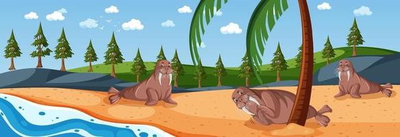 Panorama landscape scene with many walrus at the beach vector