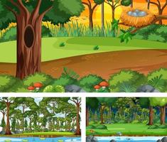 escenas de bosque con muchos arboles. vector