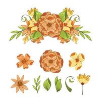 conjunto de elementos florales vectoriales vector