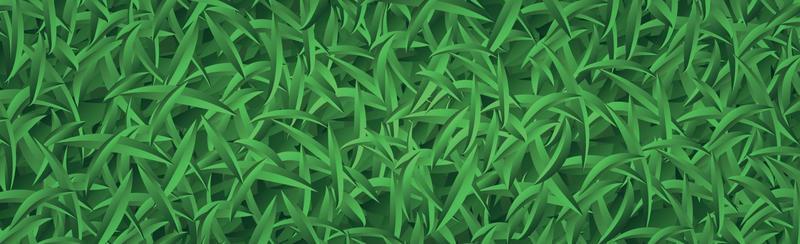 Realistic bright green grass, lawn background - Vector