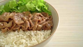 Carne de porco frita em molho de soja coberta com arroz no estilo japonês video