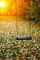 Swing in an autumn photo