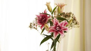 Closep-up image of a pink fresh lily blooming in summer photo